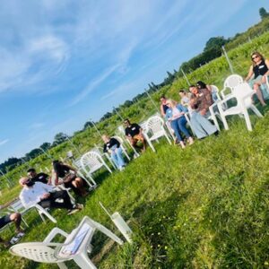 Leading an outdoor team session for grounding, meditation, and rewiring negative beliefs for a large dental practice. Delegates sit on white plastic chairs in a beautiful vineyard in Hickling Pastures.
